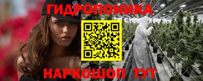 не бодяженный Кингисепп